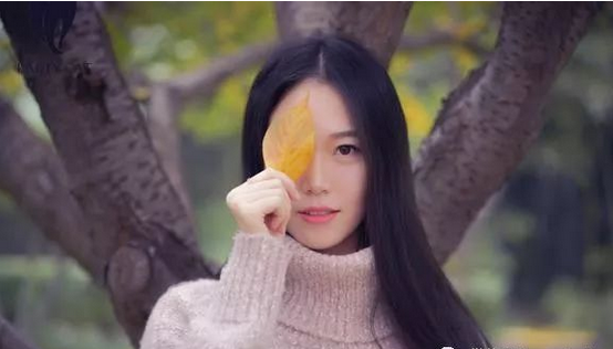 qq截图20190326115323