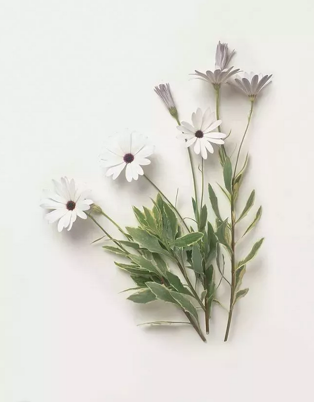 qq截图20190326101931