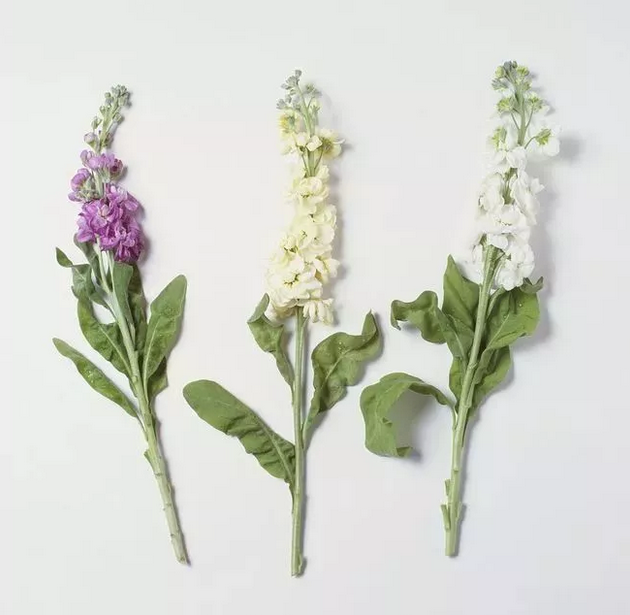 qq截图20190326101942