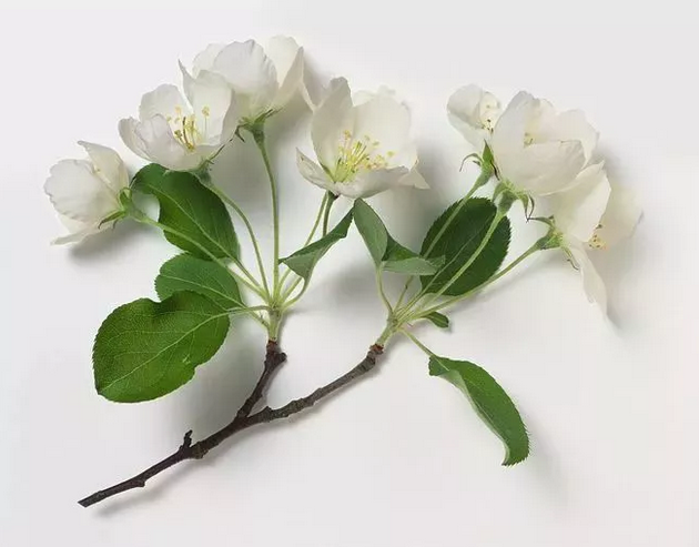 qq截图20190326101952