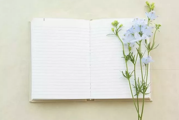 qq截图20190326102022