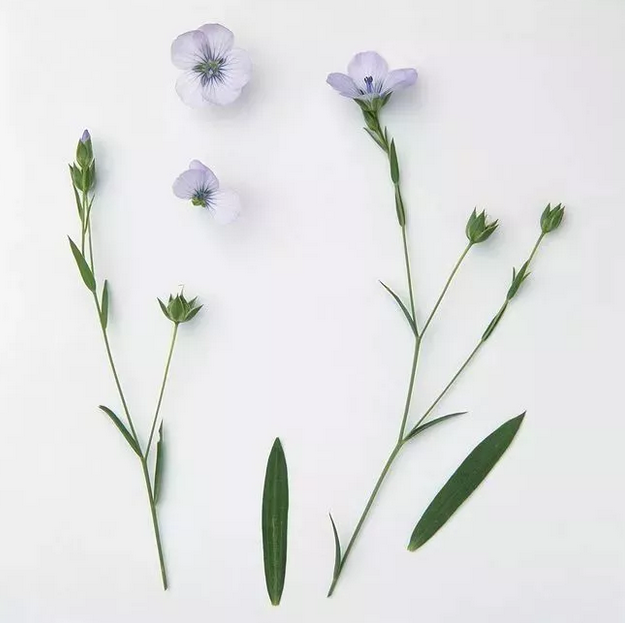 qq截图20190326102012