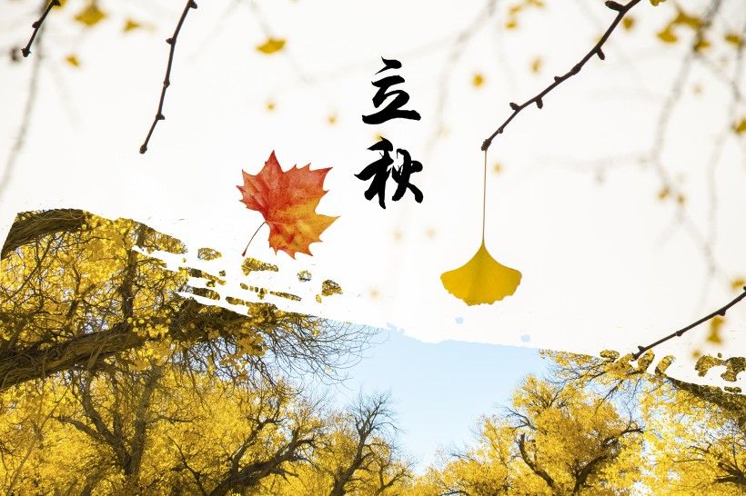 liqiu-0156